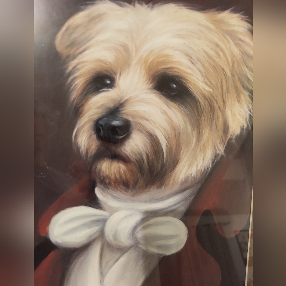 Terrier Dog Framed Print
